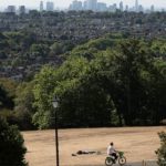 mas-del-70%-de-los-arboles-de-londres-estan-en-riesgo-extremo-por-el-cambio-climatico