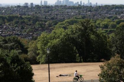 mas-del-70%-de-los-arboles-de-londres-estan-en-riesgo-extremo-por-el-cambio-climatico