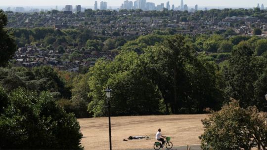 mas-del-70%-de-los-arboles-de-londres-estan-en-riesgo-extremo-por-el-cambio-climatico
