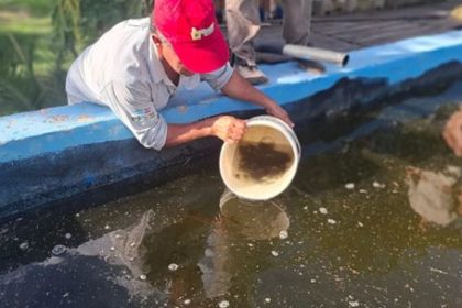 crian-peces-donde-no-hay-rios:-la-sorprendente-experiencia-que-crece-en-el-interior-del-chaco