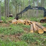 destacan-el-potencial-forestal-de-misiones-para-impulsar-la-construccion-en-madera:-“tenemos-que-atender-ese-mercado-interno”