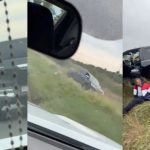 persecucion-de-pelicula-en-chaco:-la-policia-secuestro-dos-camionetas-robadas-tras-un-operativo-cerrojo