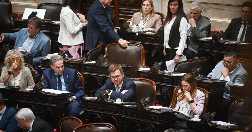 presentaron-un-proyecto-para-que-un-nino-pueda-ser-adoptado-por-su-familia-de-transito-si-lleva-mas-de-un-ano-bajo-su-cuidado
