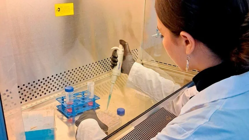 cientificos-argentinos-buscan-detectar-trastornos-del-neurodesarrollo-en-ninos-con-una-muestra-de-sangre