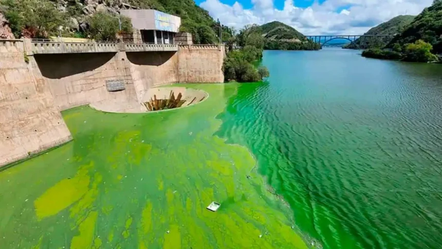 el-lago-san-roque-paga-el-costo-de-mas-de-un-siglo-de-contaminacion-causado-por-la-actividad-humana