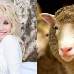 dolly-parton-y-la-oveja-dolly:-la-curiosa-historia-del-nombre-que-unio-a-dos-leyendas