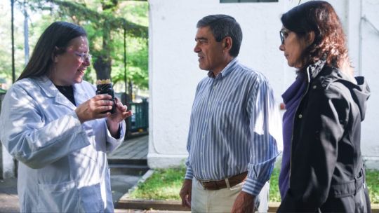 al-dengue-lo-prevenimos-entre-todos