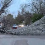 viento-zonda-en-mendoza:-alerta-por-rafagas-de-70-kilometros-por-hora-y-nevadas-en-la-alta-montana