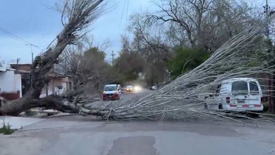 viento-zonda-en-mendoza:-alerta-por-rafagas-de-70-kilometros-por-hora-y-nevadas-en-la-alta-montana