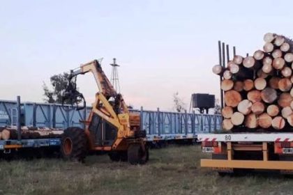 el-resurgimiento-del-tren-de-carga-en-santo-tome-impulsa-la-exportacion-maderera-hacia-la-india