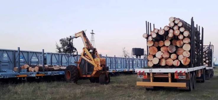 el-resurgimiento-del-tren-de-carga-en-santo-tome-impulsa-la-exportacion-maderera-hacia-la-india