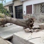 alerta-por-viento-zonda-en-mendoza:-que-pasara-con-las-clases