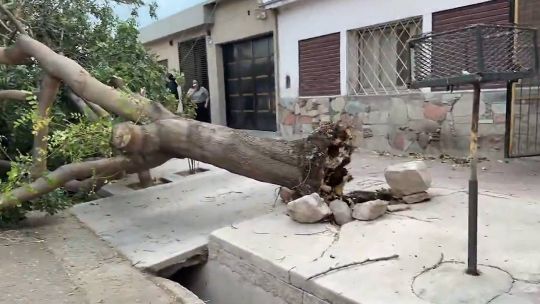 alerta-por-viento-zonda-en-mendoza:-que-pasara-con-las-clases