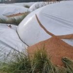 desde-la-fundacion-barbechando-apoyan-el-proyecto-sobre-vandalismo-rural-en-la-comision-de-agricultura