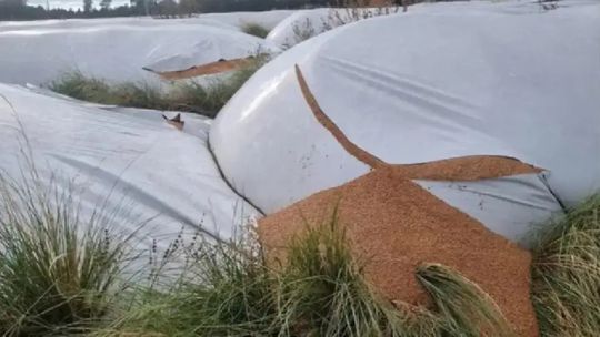 desde-la-fundacion-barbechando-apoyan-el-proyecto-sobre-vandalismo-rural-en-la-comision-de-agricultura