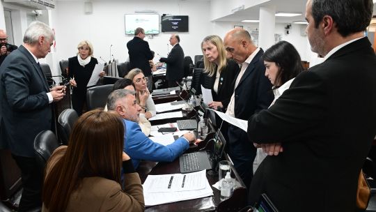 chaco-aprobo-la-ley-de-reiterancia-con-27-votos-y-un-duro-cruce-por-la-inseguridad