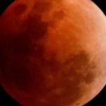 eclipse-lunar-en-argentina:-a-que-hora-ver-la-“luna-de-sangre”-y-donde-habra-telescopios-gratis
