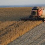 aunque-la-confianza-del-campo-no-mejora,-64%-cree-que-es-buen-momento-para-invertir:-la-tierra-lidera-las-preferencias