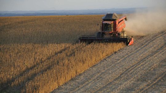 aunque-la-confianza-del-campo-no-mejora,-64%-cree-que-es-buen-momento-para-invertir:-la-tierra-lidera-las-preferencias