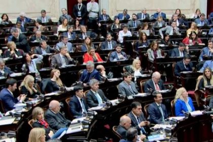 diputados-no-habilito-el-debate-de-una-tarifa-diferencial-que-beneficiaria-al-nea