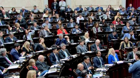 diputados-no-habilito-el-debate-de-una-tarifa-diferencial-que-beneficiaria-al-nea