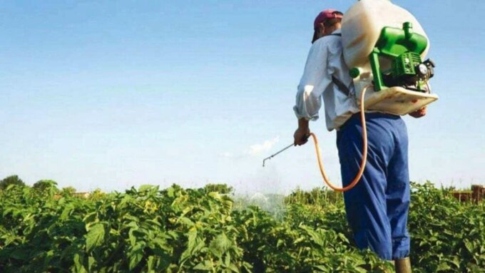 casi-la-mitad-de-los-agricultores-sufre-intoxicaciones-por-pesticidas-cada-ano