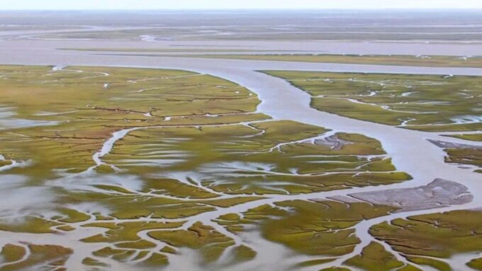 bahia-blanca-crecio-como-polo-industrial-y-ahora-encuentra-microplasticos-en-su-estuario