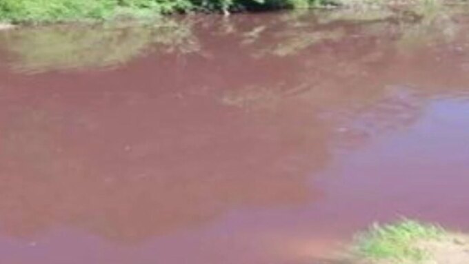 el-glifosato-llega-a-una-reserva-de-entre-rios-y-cuatro-arroyos-quedan-bajo-alerta-ambiental