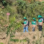 proyectan-crear-6.500-empleos-con-el-censo-agropecuario