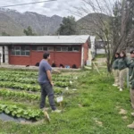 estudiantes-experimentan-con-cultivos-para-buscar-alternativas-de-recuperacion-de-suelos