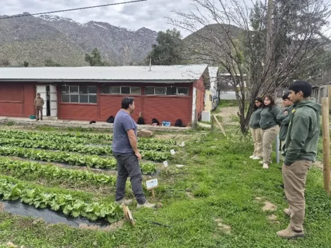 estudiantes-experimentan-con-cultivos-para-buscar-alternativas-de-recuperacion-de-suelos