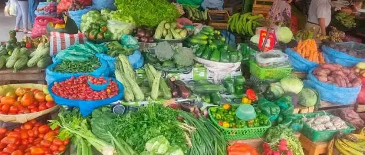 precios-de-las-verduras-bajan-en-mercados-crucenos