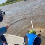 gigante-de-agua-dulce:-pescaron-una-enorme-raya-de-90-kilos-en-el-rio-paraguay