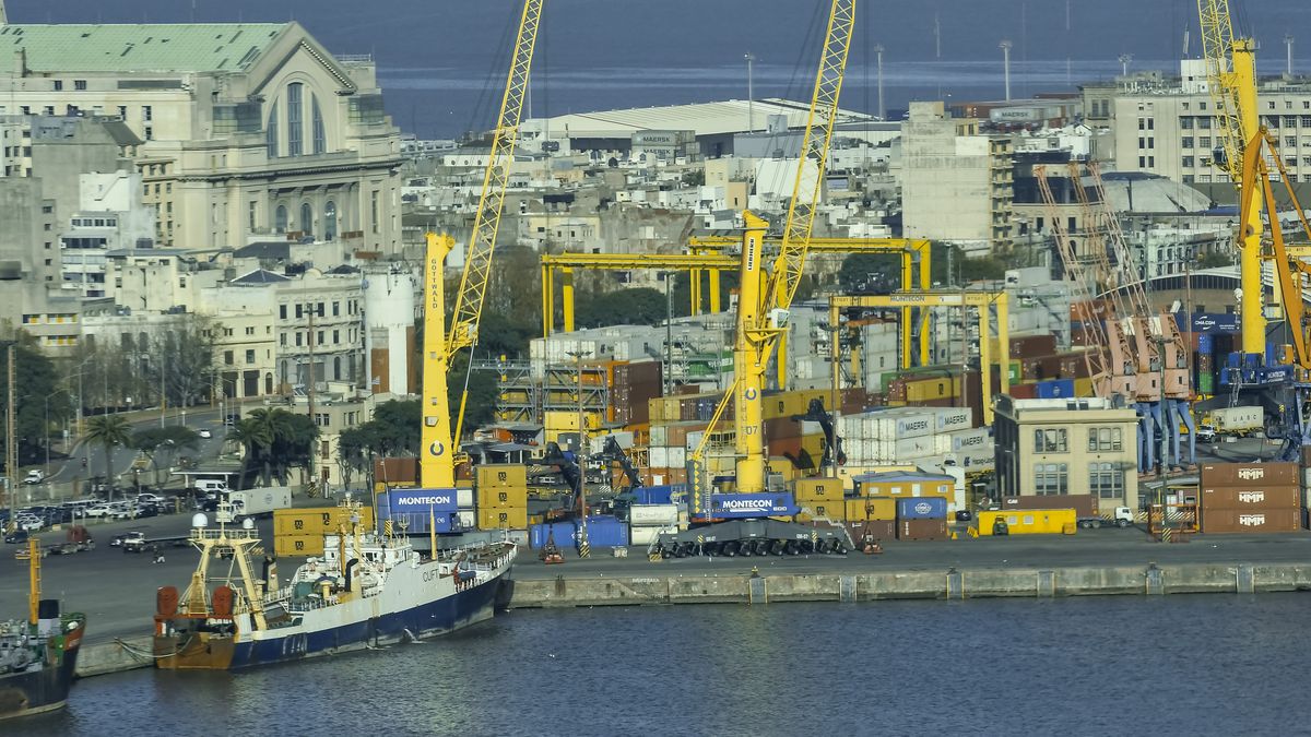 pit-cnt-cuestiono-decreto-sobre-servicios-minimos-en-el-puerto-por-“excesivo”-y-alejandro-sanchez-pidio-que-“prime-la-racionalidad”-en-el-conflicto