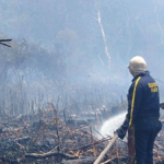 el-parque-isla-salamanca-vuelve-a-arder:-segundo-incendio-en-una-semana-consume-hectareas-de-la-reserva-natural-y-afecta-el-aire-de-barranquilla