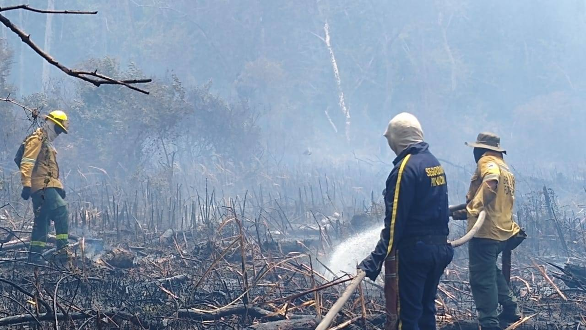 el-parque-isla-salamanca-vuelve-a-arder:-segundo-incendio-en-una-semana-consume-hectareas-de-la-reserva-natural-y-afecta-el-aire-de-barranquilla