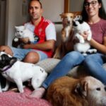 proponen-habilitar-el-entierro-de-personas-junto-a-sus-animales-de-compania