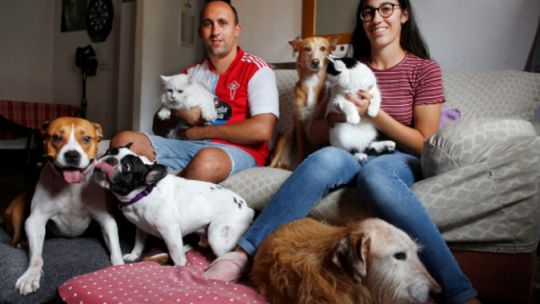 proponen-habilitar-el-entierro-de-personas-junto-a-sus-animales-de-compania