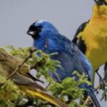 asi-buscan-proteger-los-monumentos-naturales-provinciales-en-entre-rios