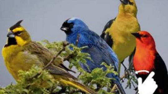 asi-buscan-proteger-los-monumentos-naturales-provinciales-en-entre-rios