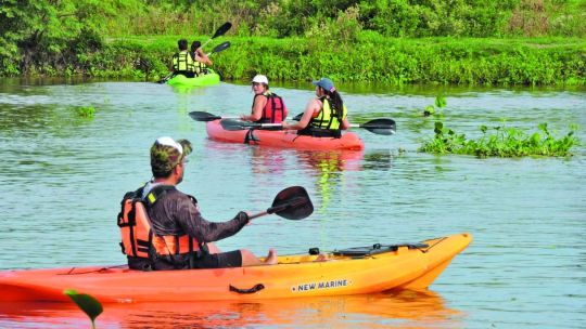 en-kayak-por-los-brazos-de-la-laguna-setubal