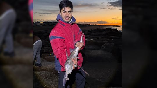 miramar-anticipa-una-gran-primavera:-aparecieron-los-gallos-y-se-activo-la-pesca-variada