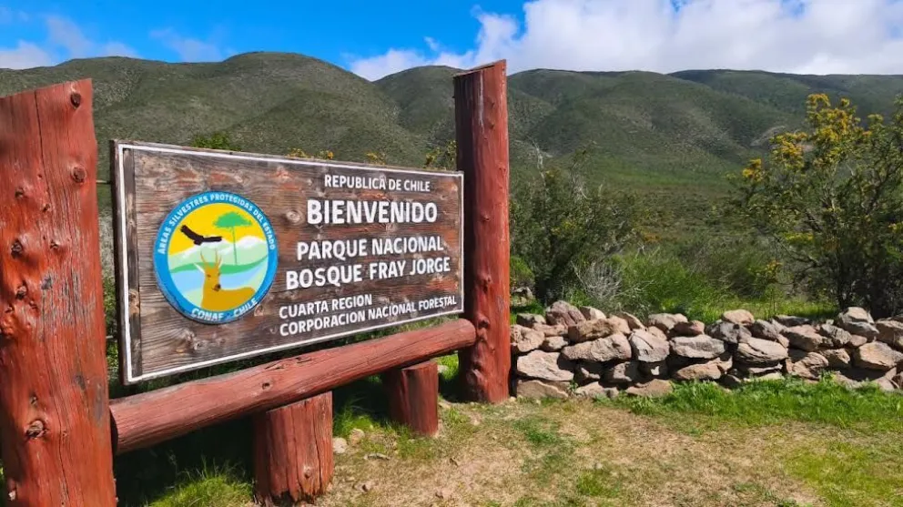 tras-danos-del-temporal,-parque-fray-jorge-y-otras-areas-protegidas-reabren-antes-de-fiestas-patrias