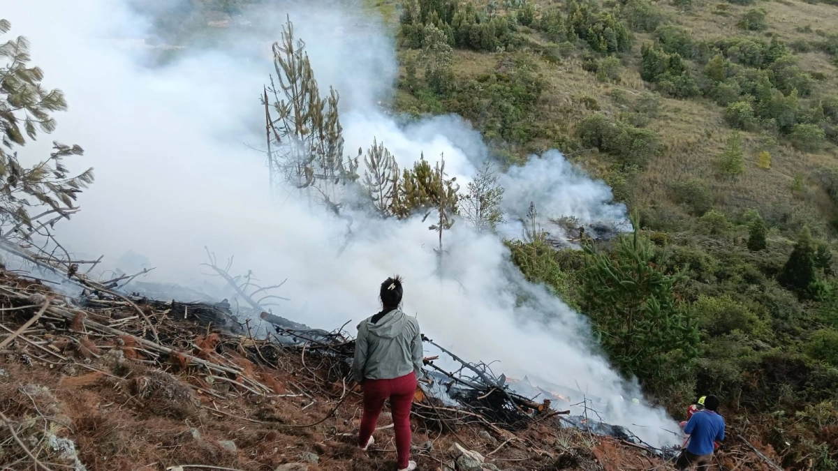 alerta-por-incendios-forestales-en-colombia:-18-siguen-activos-y-tolima-concentra-casi-la-mitad,-segun-la-ungrd