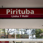 trens-da-linha-7-rubi-vao-funcionar-com-lentidao-neste-domingo-(13)-para-retirada-arvore-dos-trilhos