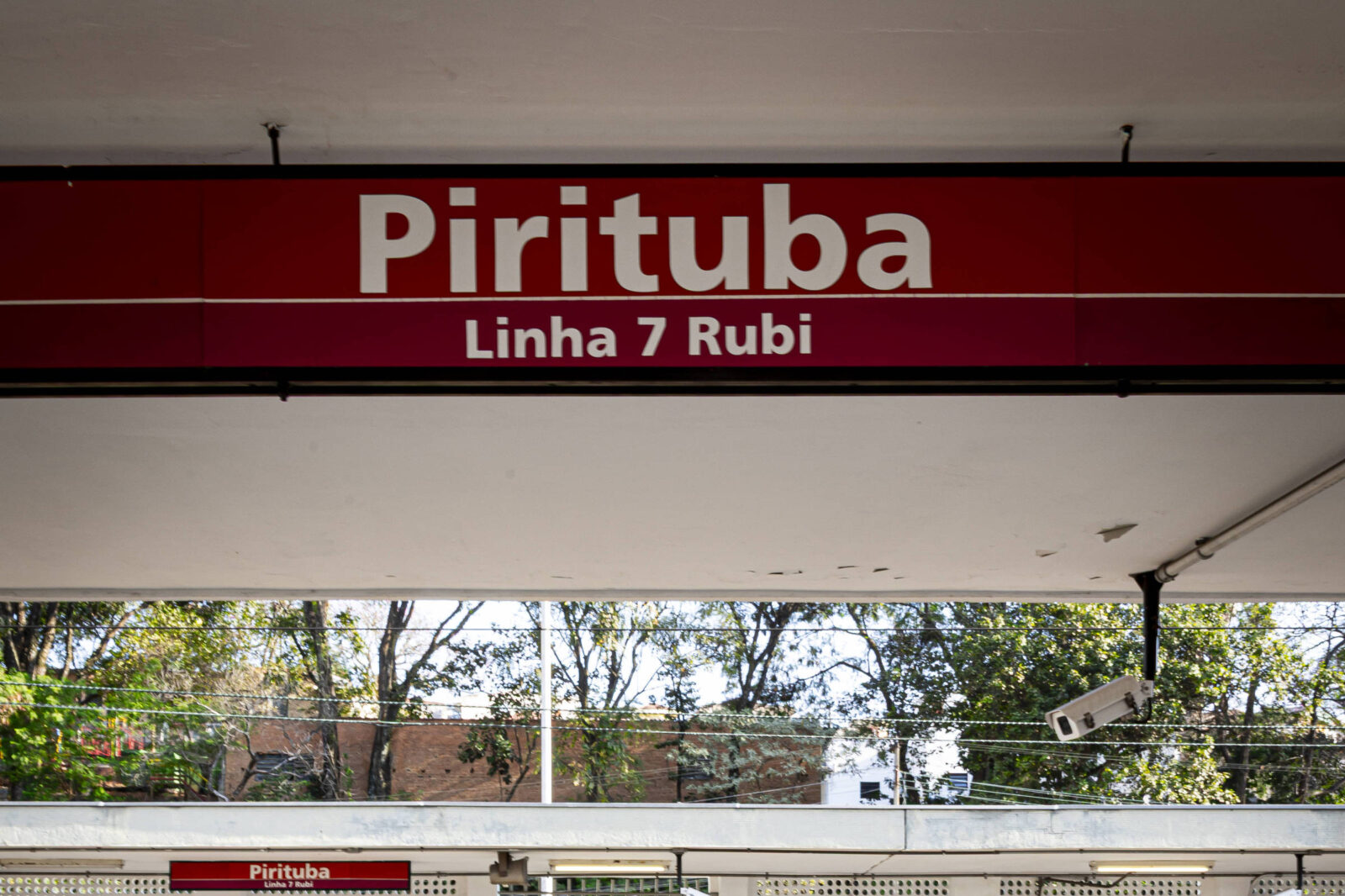 trens-da-linha-7-rubi-vao-funcionar-com-lentidao-neste-domingo-(13)-para-retirada-arvore-dos-trilhos