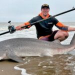 las-senales-no-fallaron:-los-grandes-tiburones-volvieron-a-las-costas-de-san-clemente