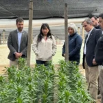 productores-podran-acceder-por-un-ano-mas-a-seguro-por-la-mosca-de-la-fruta