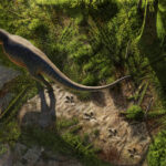pegadas-de-66-milhoes-de-anos-sao-primeira-trilha-conhecida-de-um-t.-rex-adulto