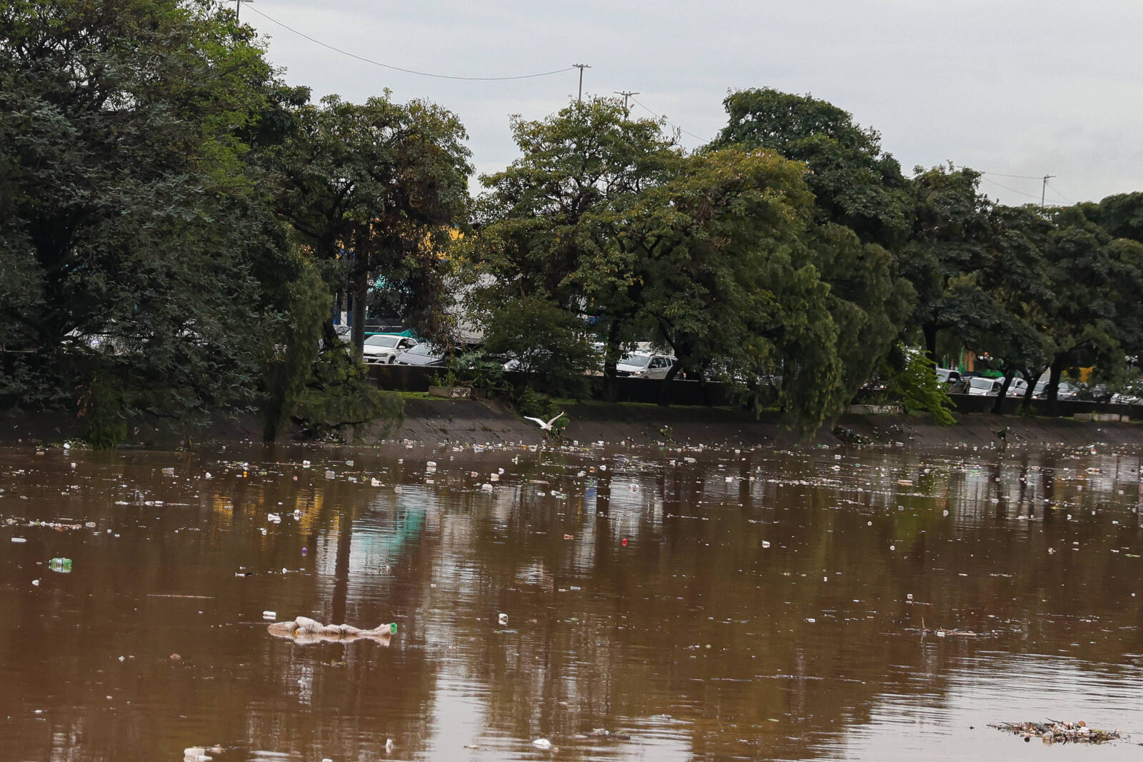 sao-paulo-segue-em-alerta-de-perigo-para-tempestades-neste-domingo-(13)